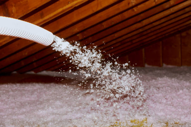 Best Spray Foam Insulation  in Pineland, TX