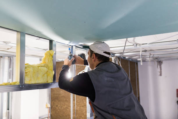 Best Soundproof Insulation Installation  in Pineland, TX