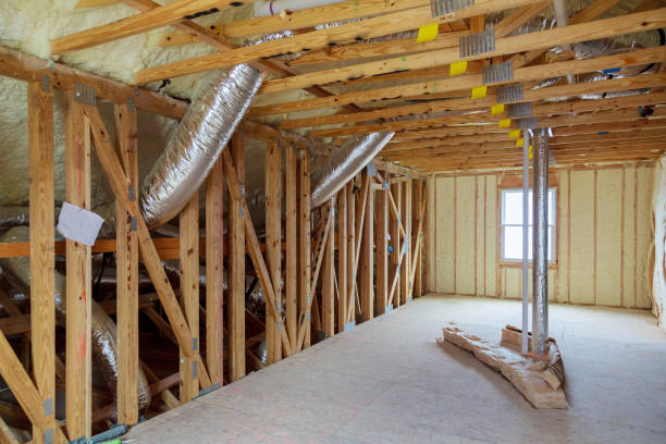 Best Insulation Contractor Near Me  in Pineland, TX