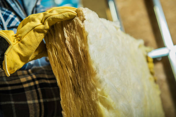 Best Insulation Contractors for Homes  in Pineland, TX