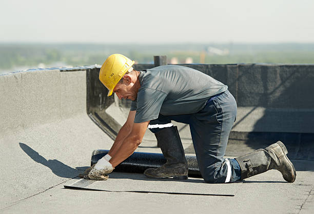 Best Insulation for New Construction  in Pineland, TX