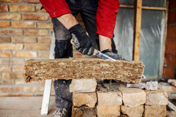 Best Garage Insulation Installation  in Pineland, TX