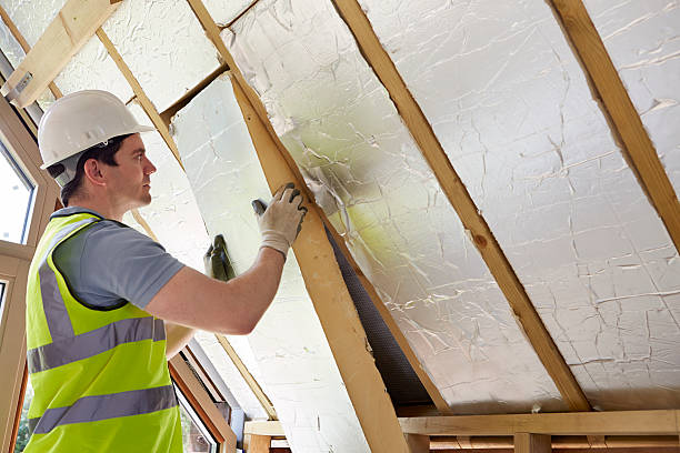 Best Spray Foam Insulation  in Pineland, TX